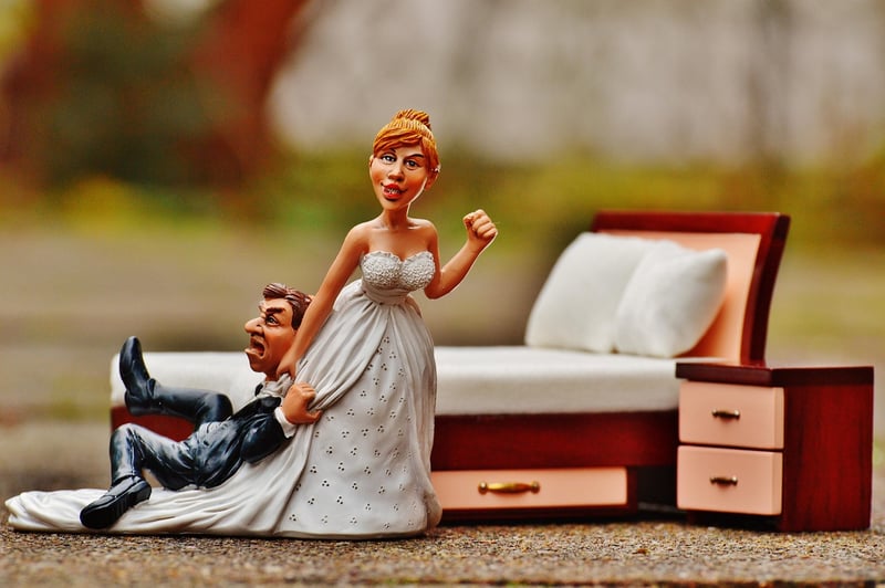 Capricorn Wedding Theme
